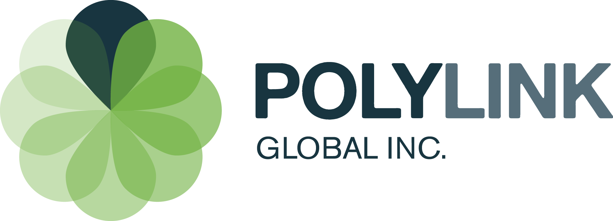 Polylink Global Inc.